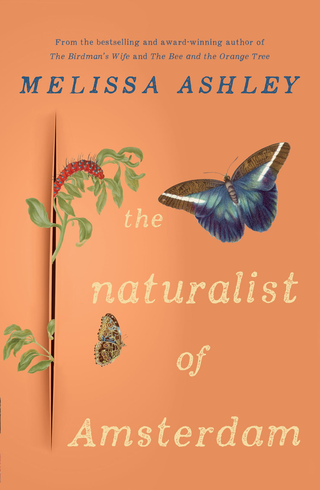 The Naturalist of Amsterdam by Melissa Ashley