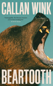 Beartooth by Callan Wink