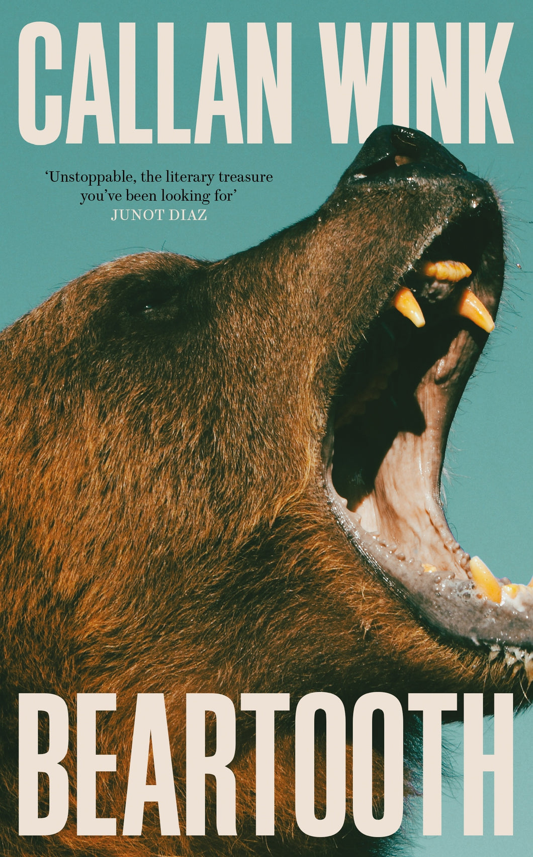 Beartooth by Callan Wink