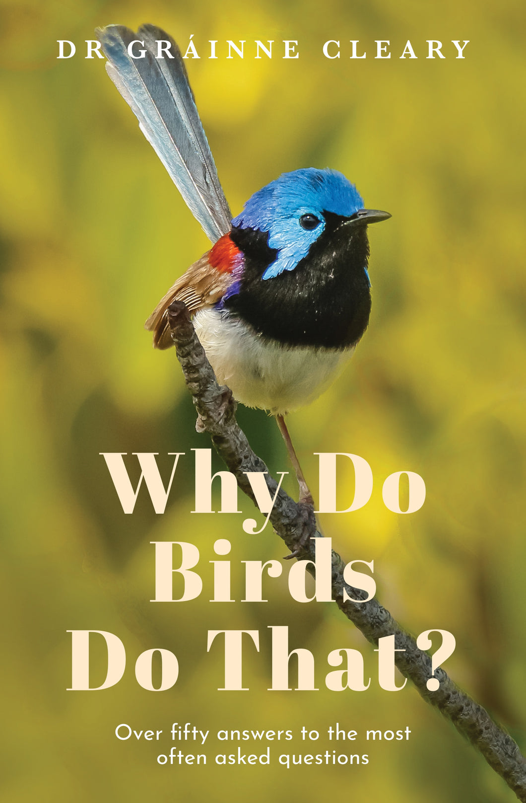 Why Do Birds Do That? by Dr Grainne Cleary