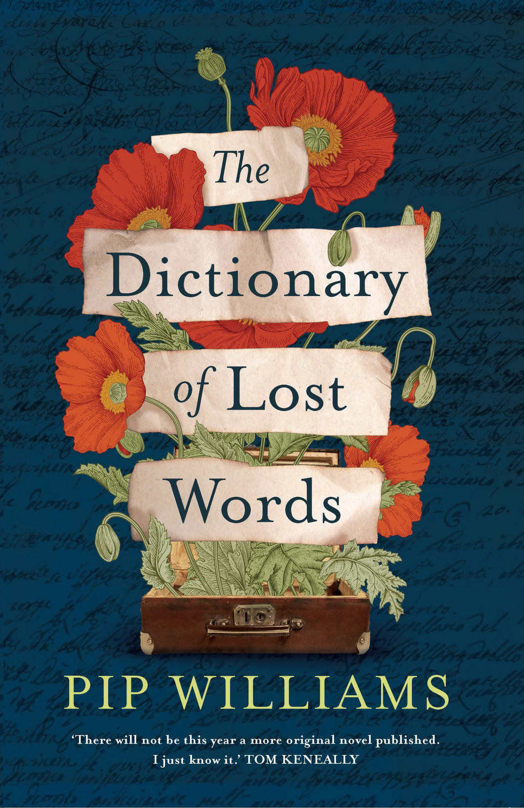 Dictionary of Lost Words by Pip Williams