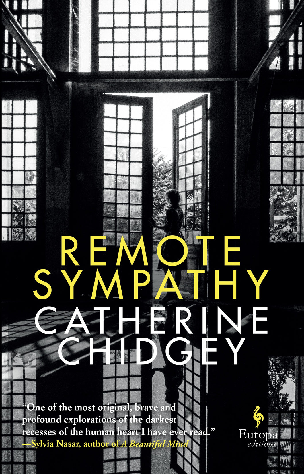 Remote Sympathy by Catherine Chidgey