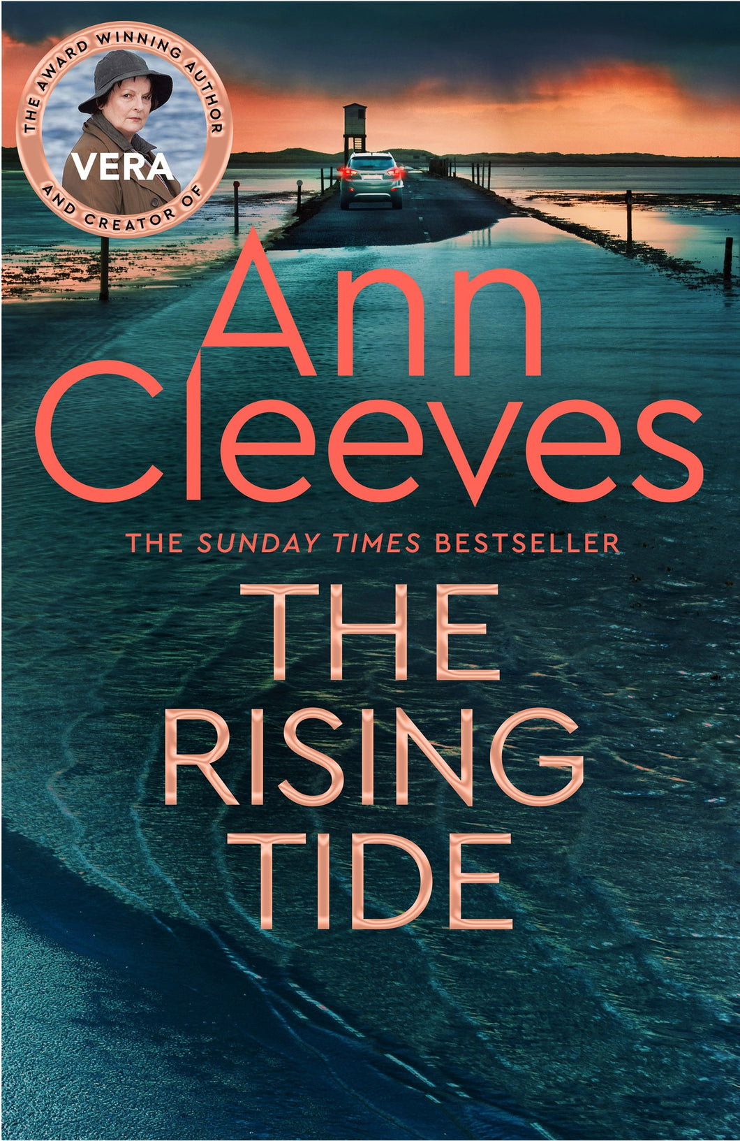 Rising Tide by Ann Cleeves
