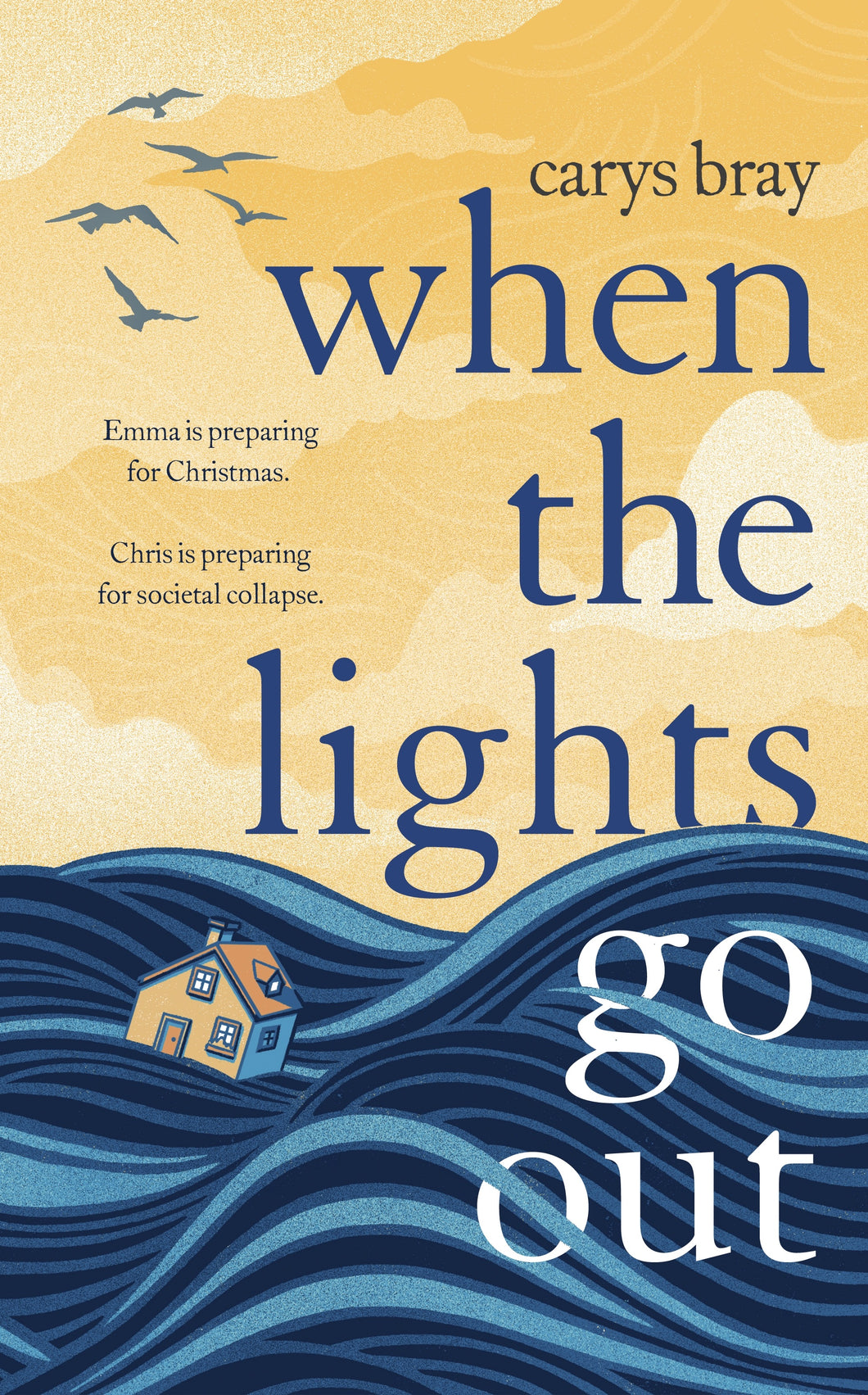 When the Lights Go Out by Carys Bray