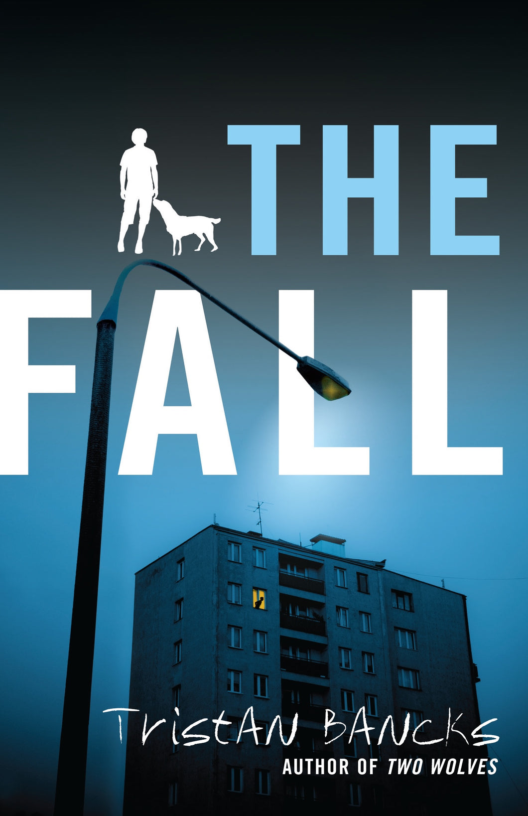 The Fall by Tristan Bancks